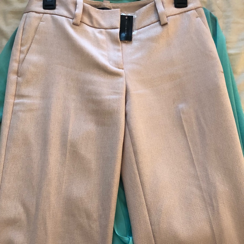 Dress pant